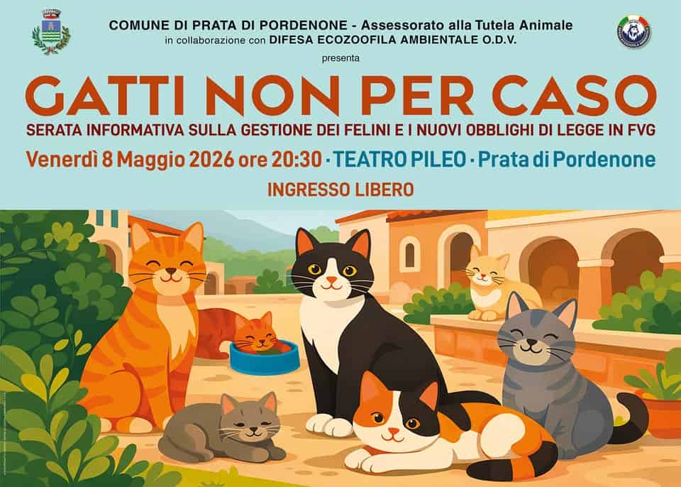 Potrebbe essere un disegno raffigurante il seguente testo "HHC COMUNE DI PRATA DI PORDENONE Assessorato alla Tutela Animale in collaborazione con DIFESA ECOZOOFILA AMBIENTALE O.D.V. presenta GATTI NON PER CASO SERATA INFORMATIVA SULLA GESTIONE GESTIONE DEI FELINI E NUOVI OBBLIGHI DI LEGGE IN FVG Venerdi Venerdì 8 Maggio 2026 ore 20:30 TEATRO PILEO Prata di Pordenone INGRESSO LIBERO"
