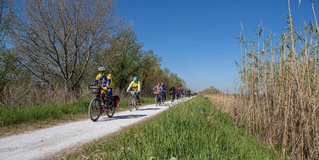 Potrebbe essere un'immagine raffigurante bicicletta e strada