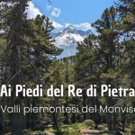 AI PIEDI DEL RE DI PIETRA | Valli piemontesi del Monviso Potrebbe essere un'immagine raffigurante albero e il seguente testo "Ai Piedi del Re di Pietra Valli piemontesi del Monviso"