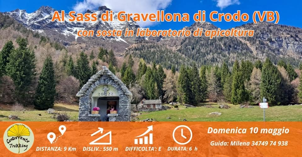 Al Sass di Gravellona sopra Crodo (VB)…con sosta in laboratorio di apicoltura – NEW Potrebbe essere un'immagine raffigurante Castello di Bran e il seguente testo "AI Sass di Gravellona di Crodo (VB) con sosta in laboratorio di apicoltura 20% 22 CopoceTи CoTиTo ento Trekking DISTANZA: 9 Km DISLIV.:550m m Mi DIFFICOLTA':E DURATA:6h h Domenica 10 maggio Guida: Milena 34749 74 938"