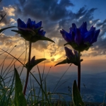 Alba sulla vetta della Sibilla (E) Alba sulla vetta della Sibilla (E) a Montemonaco (AP) il 23 agosto 2026