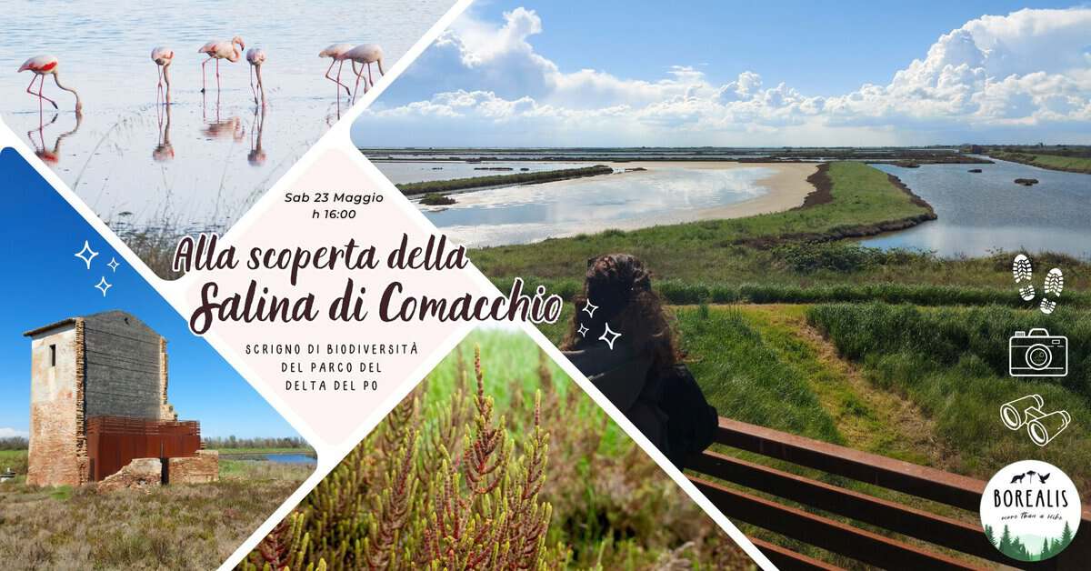 Evento Alla scoperta della Salina di Comacchio Locandina Alla scoperta della Salina di Comacchio - sabato 23 maggio ore 16:00 - 18:00