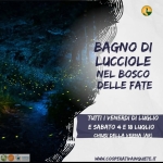 Bagno di Lucciole nel Bosco delle Fate Bagno di Lucciole nel Bosco delle Fate a Chiusi della Verna (AR) il 3 luglio - 24 luglio 2026