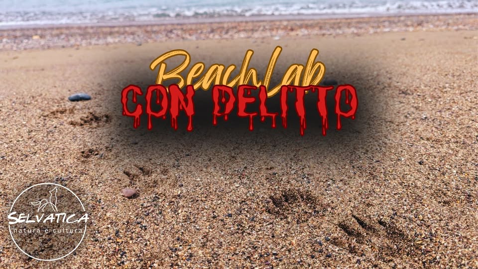 Potrebbe essere un'immagine raffigurante spiaggia e il seguente testo "Reachlah ÇON PELTTP SELVATICA natura e cuttura naturae.cuttura/ tu"