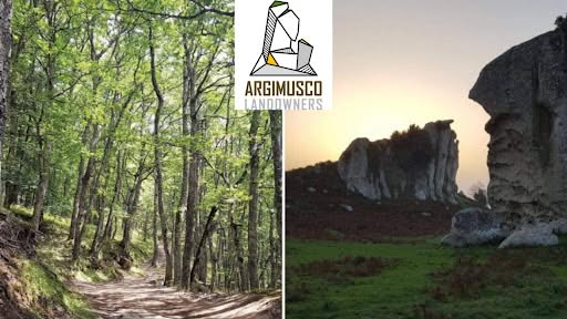 Evento Bosco di Malabotta e Argimusco per il solstizio d’estate Locandina Bosco di Malabotta e Argimusco per il solstizio d’estate - domenica 21 giugno ore 10:00 - 12:00