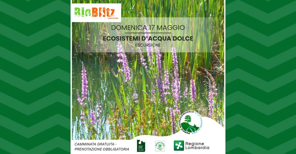 Evento Ecosistemi d’acqua dolce tra biodiversità e equilibrio Locandina Ecosistemi d’acqua dolce tra biodiversità e equilibrio - domenica 17 maggio ore 10:00 - 12:00