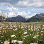 ESCURSIONE AD ANELLO NELL’ALTA VALLE DEL FIASTRONE Escursione Ad Anello Nell’alta Valle Del Fiastrone a Bolognola (MC) il 29 novembre 2026