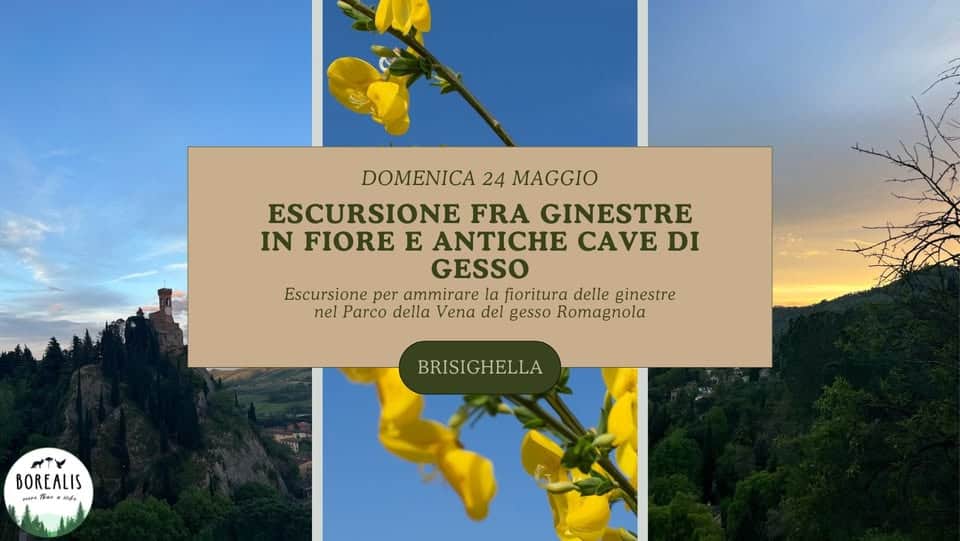 ESCURSIONE FRA GINESTRE IN FIORE E ANTICHE CAVE DI GESSO Potrebbe essere un'immagine raffigurante il seguente testo "DOMENICA 24 MAGGIO ESCURSIONE FRA GINESTRE IN FIORE E ANTICHE CAVE DI GESSO Escursione per ammirare Escursioneperammirare la fioritura delle ginestre nel Parco della Vena del gesso Romagnola BRISIGHELLA BOREALIS P/ Pa 1 M คง"