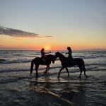 ESCURSIONI A CAVALLO IN CAMPANIA Escursioni A Cavallo In Campania a Pozzuoli (NA) il 9 maggio maggio - 26 settembre 2026