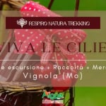 Evviva le ciliegie | Escursione + Raccolta + Merenda Evviva le ciliegie Escursione Raccolta Merenda a Vignola (MO) il 23 maggio 2026