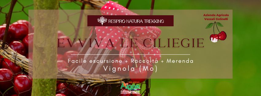 Potrebbe essere un'immagine raffigurante il seguente testo "AziendaAgricola Vezzali VezzaliGolinolli 1O0ee RESPIRO NATURA RESPIRONATURATREKKIN TREKKING EVINATECLIEGIE ILIEGIE IVALECILIEGIE Facile escursione Raccolta Merenda Vignola (Mo) ligae"