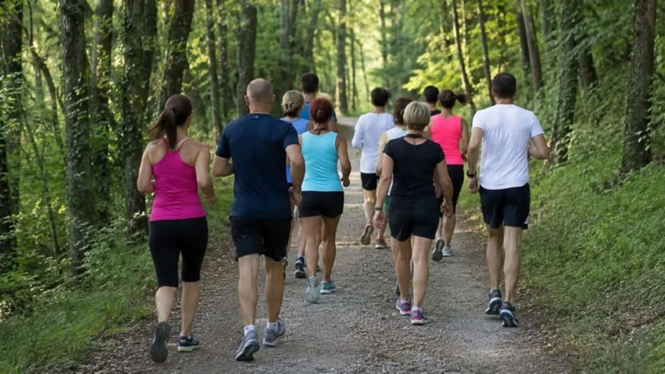 Evento FITWALING – Camminare in natura per stare in forma Locandina FITWALING – Camminare in natura per stare in forma - da giovedì 21 maggio - giovedì 28 maggio 2026 ore 17:30 ore 19:00