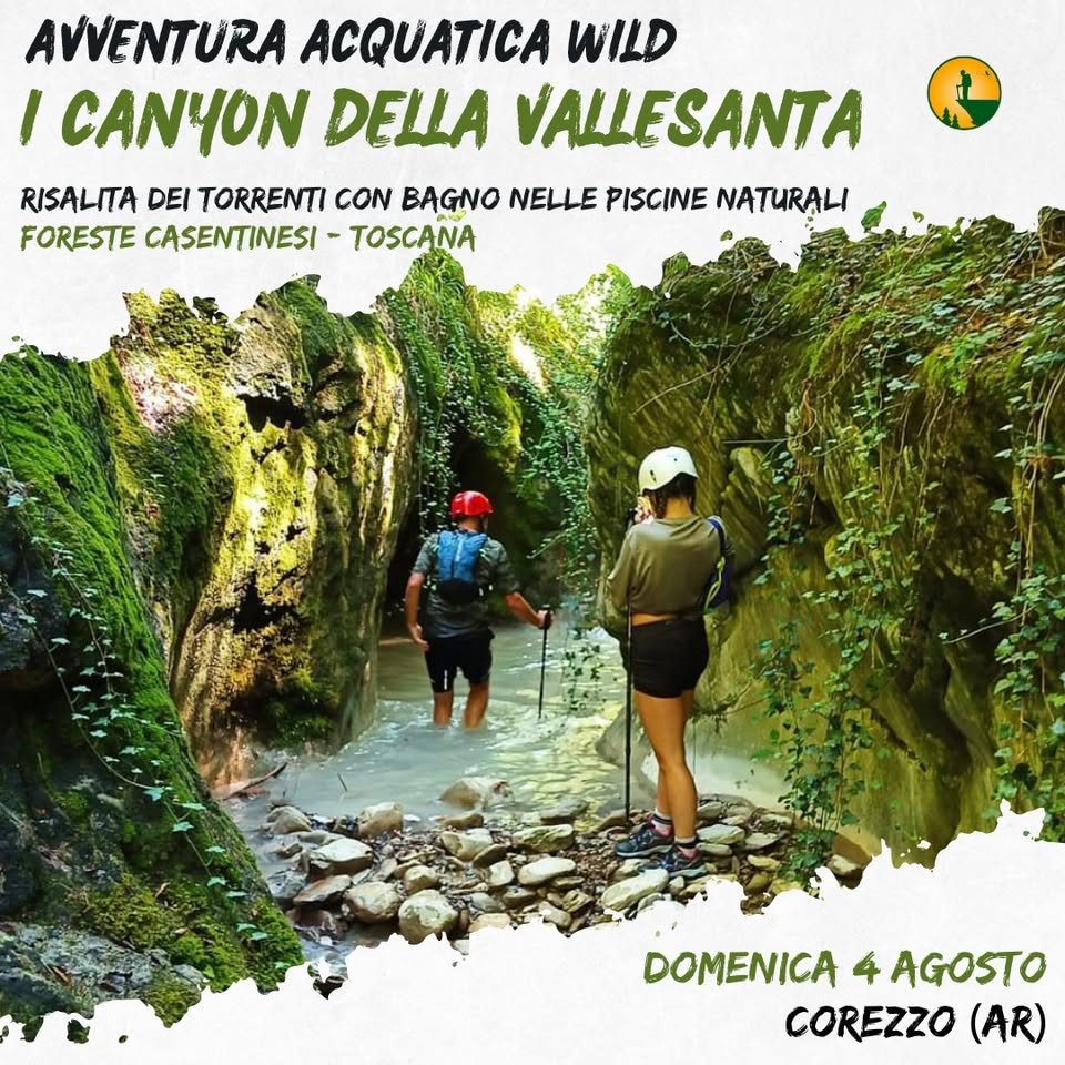 Evento I Canyon della Vallesanta – Trekking Acquatico Wild Locandina I Canyon della Vallesanta – Trekking Acquatico Wild - domenica 28 giugno ore 10:00 - 13:00