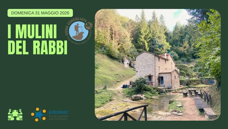Potrebbe essere un'immagine raffigurante il seguente testo "DOMENICA 31 MAGGIO 2026 I MULINI DEL RABBI EUROPARC 生"