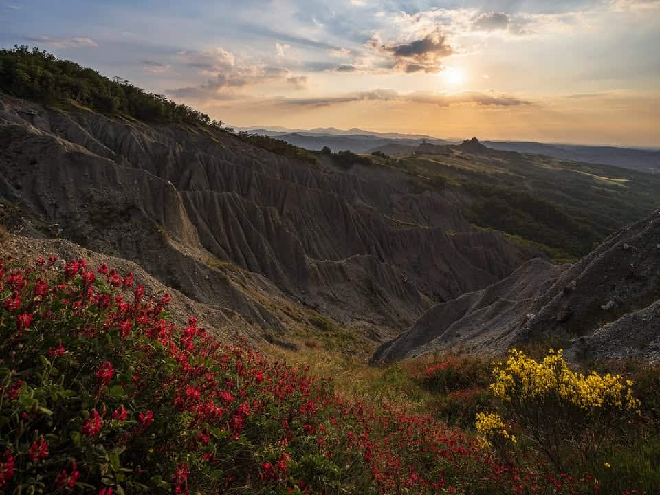 I Tramonti del Mercoledì Potrebbe essere un'immagine raffigurante castilleja e natura