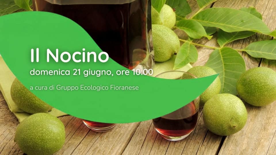 Potrebbe essere un'immagine raffigurante longan e il seguente testo "Il Nocino domenica 21 giugno, domenica21giugno,ore10:00 ore 10:00 a cura di Gruppo Ecologico Fioranese"