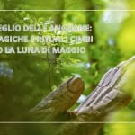 Il Risveglio delle Anguane: Erbe Magiche e Rituali Cimbri sotto la Luna di Maggio Potrebbe essere un'immagine raffigurante coccodrillo e il seguente testo "IL RISVEGLIO DELLE ANGUANE: ERBE MAGICHE E RITUALI CIMBI SOTTO LA LUNA DI MAGGIO haturaln naturalmente MICHELE 存ん ටරන မ 海体"