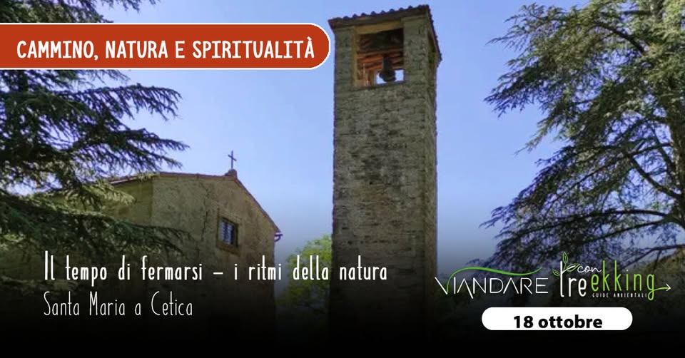 Evento Il tempo di fermarsi i ritmi della natura – Passeggiata e cucina trappeur insieme. Locandina Il tempo di fermarsi i ritmi della natura – Passeggiata e cucina trappeur insieme. - domenica 18 ottobre ore 09:30 - 11:30