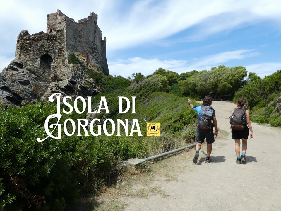 Evento Isola di Gorgona (partenza da Livorno) Locandina Isola di Gorgona (partenza da Livorno) - lunedì 29 giugno ore 08:00 - 17:30