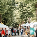La Domenica a Km Zero – Mercato dei Produttori Agricoli Nessuna descrizione della foto disponibile.