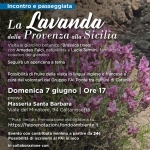 LA LAVANDA dalla Provenza alla Sicilia Potrebbe essere un'immagine raffigurante lavanda selvatica, Lewisia e testo