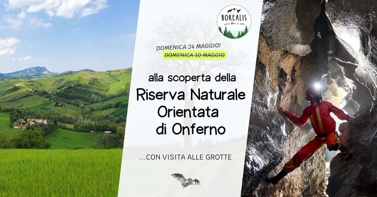 Potrebbe essere un'immagine raffigurante arrampicata e il seguente testo "BOREALIS PuPE HPEIAN P *찰 เ้อง +M มมื้ DOMENICA DOMENICA24MAGGIO! 24 MAGGIO! DOMENICA-10-MAGGIO alla scoperta della Riserva Naturale Orientata di Onferno ...CON VISITA ALLE GROTTE"