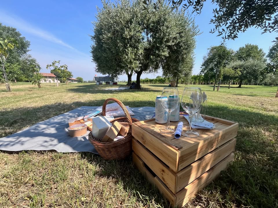 Evento Laguna Segreta Locandina Laguna Segreta - da giovedì 9 luglio - giovedì 20 agosto 2026 ore 10:00 ore 14:00