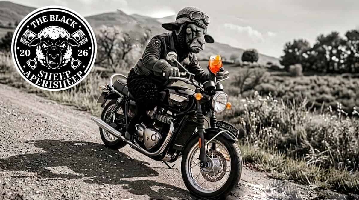 L’APERISHEEP @ KILOMETRO 19: Potrebbe essere un'immagine raffigurante motocicletta, moto da cross e il seguente testo "THE THEBLACK BLACK 20 26 SHEEFE PERISHEEP SHEEP"