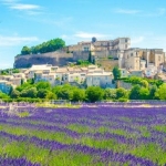 Le vie della Lavanda Le vie della Lavanda a Diano Marina (IM) il 5 luglio 2026