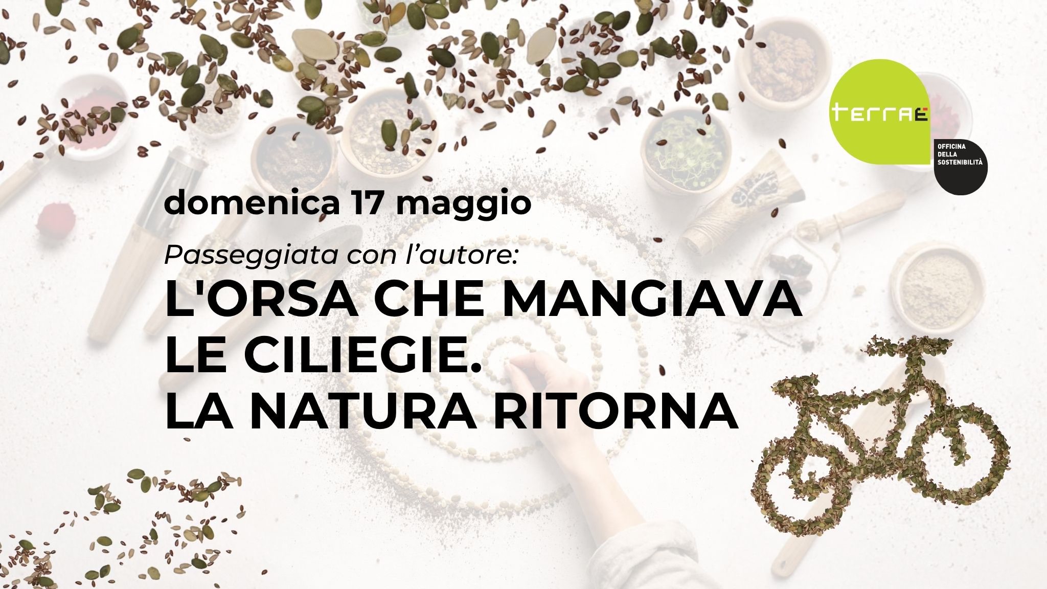 L’ORSA CHE MANGIAVA LE CILIEGIE. LA NATURA RITORNA, A GIARDINI APERTI Potrebbe essere un'immagine raffigurante il seguente testo "+erae OPFICn MTCRA ICMA SOSTEMBUITA domenica 17 maggio Passeggiata con l'autore: L'ORSA CHE LE CILIEGIE. LA NATURA RITORNA شن"