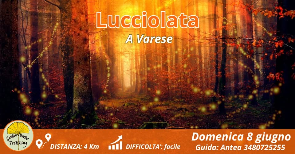 Evento Lucciolata A Varese Locandina Lucciolata A Varese - da sabato 6 giugno - sabato 13 giugno 2026 ore 21:00 ore 23:30