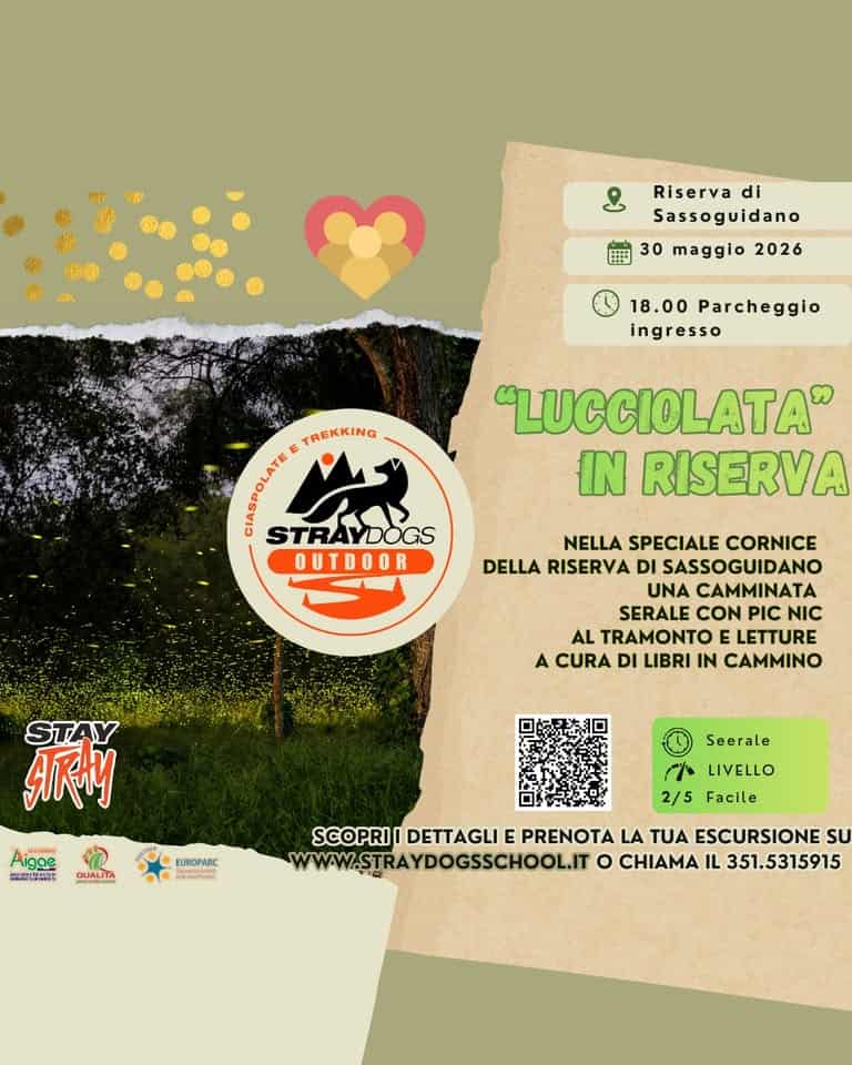 ‘Lucciolata’ nella Riserva di Sassoguidano (Pavullo) Potrebbe essere un'illustrazione raffigurante mappa e il seguente testo "Riserva di Sassoguidano 30 maggio 2026 18.00 Parcheggio ingresso ်ခ TREKKING CIASPOLATE STRAYDOGS OUTDOOR "LUCCIOLATA" IN RISERVA NELLA SPECIALE CORNICE DELLA RISERVA DI SASSOGUIDANO UNA CAMMINATA SERALE CON PIC NIC AL TRAMONTO LETTURE A CURA DI LIBRI IN CAMMINO STAY RKHy HE רית ane 製..更行 QUALITA Seerale EUROPARO MEEN ပ ر LIVELLO 2/5 Facile SCOPRII DETTAGLI E PRENOTA LA TUA ESCURSIONE sU WWW.STRAYDOGSSCHOOL.IT o CHIAMA IL 351.5315915"