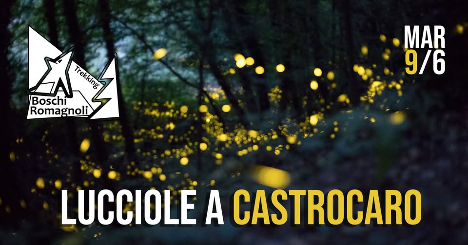 Evento Lucciole a Castrocaro Locandina Lucciole a Castrocaro - martedì 9 giugno ore 21:00 - 23:00