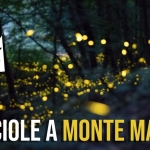 Lucciole a Monte Mauro Lucciole a Monte Mauro a Brisighella (RA) il 10 giugno 2026