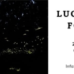 Potrebbe essere un'immagine raffigurante il seguente testo "Sottosopra LUCCIOLE IN FORESTA 22-30 30 maggio 22- 06-: 12 giugno Info: 3337750417 Norma"