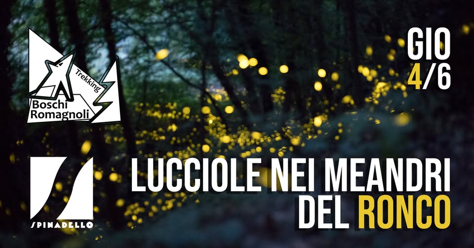 Evento Lucciole nei Meandri del Ronco Locandina Lucciole nei Meandri del Ronco - giovedì 4 giugno ore 21:15 - 23:15