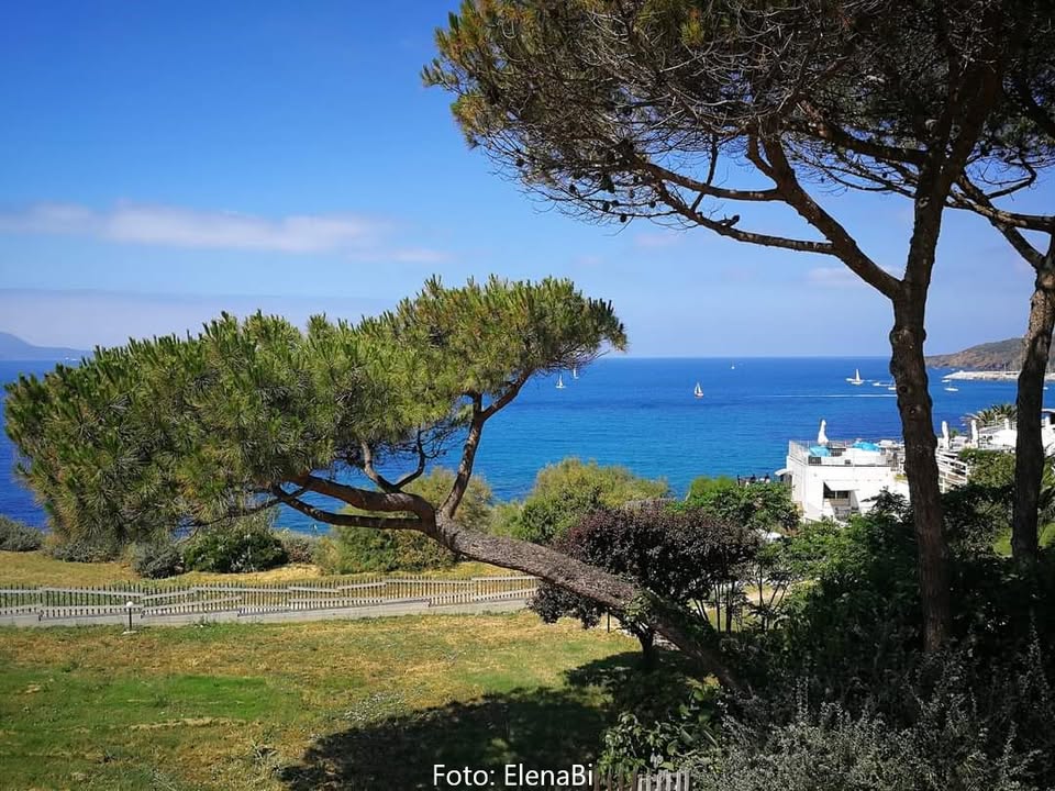 Evento Lungomare verso Salivoli Locandina Lungomare verso Salivoli - da giovedì 2 luglio - giovedì 27 agosto 2026 ore 18:00 ore 20:00