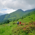 MADE Trek – 5 gg di escursionismo MADE Trek – 5 gg di escursionismo a Forni Avoltri il 7 settembre - 11 settembre 2026