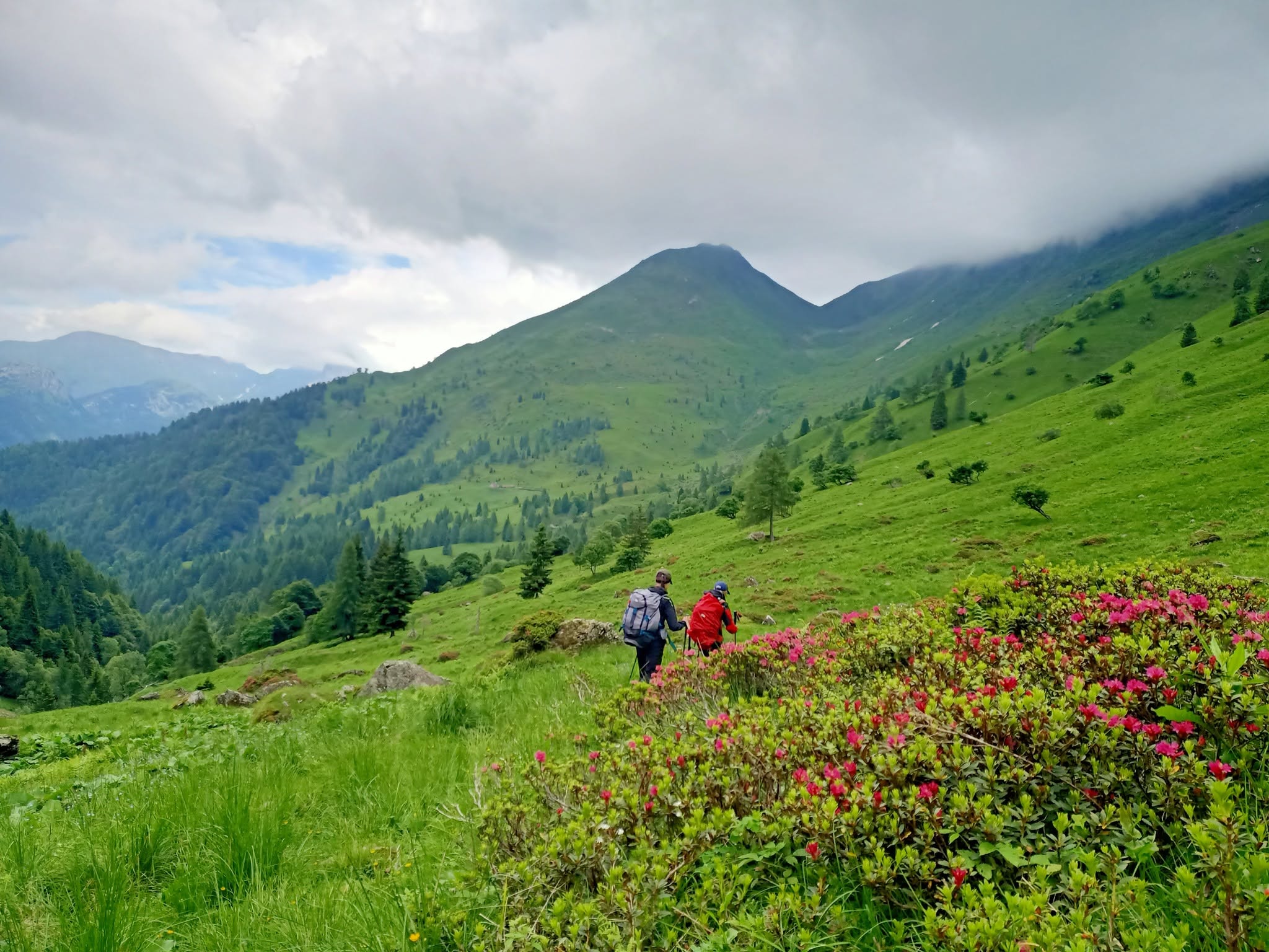 Evento MADE Trek – 5 gg di escursionismo Locandina MADE Trek – 5 gg di escursionismo - da lunedì 7 settembre - venerdì 11 settembre 2026 ore 08:00 ore 18:00