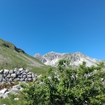 Monte Meta 2242, vetta di Alfedena fra camosci e panorami Monte Meta 2242, vetta di Alfedena fra camosci e panorami a Alfedena (AQ) il 16 maggio 2026