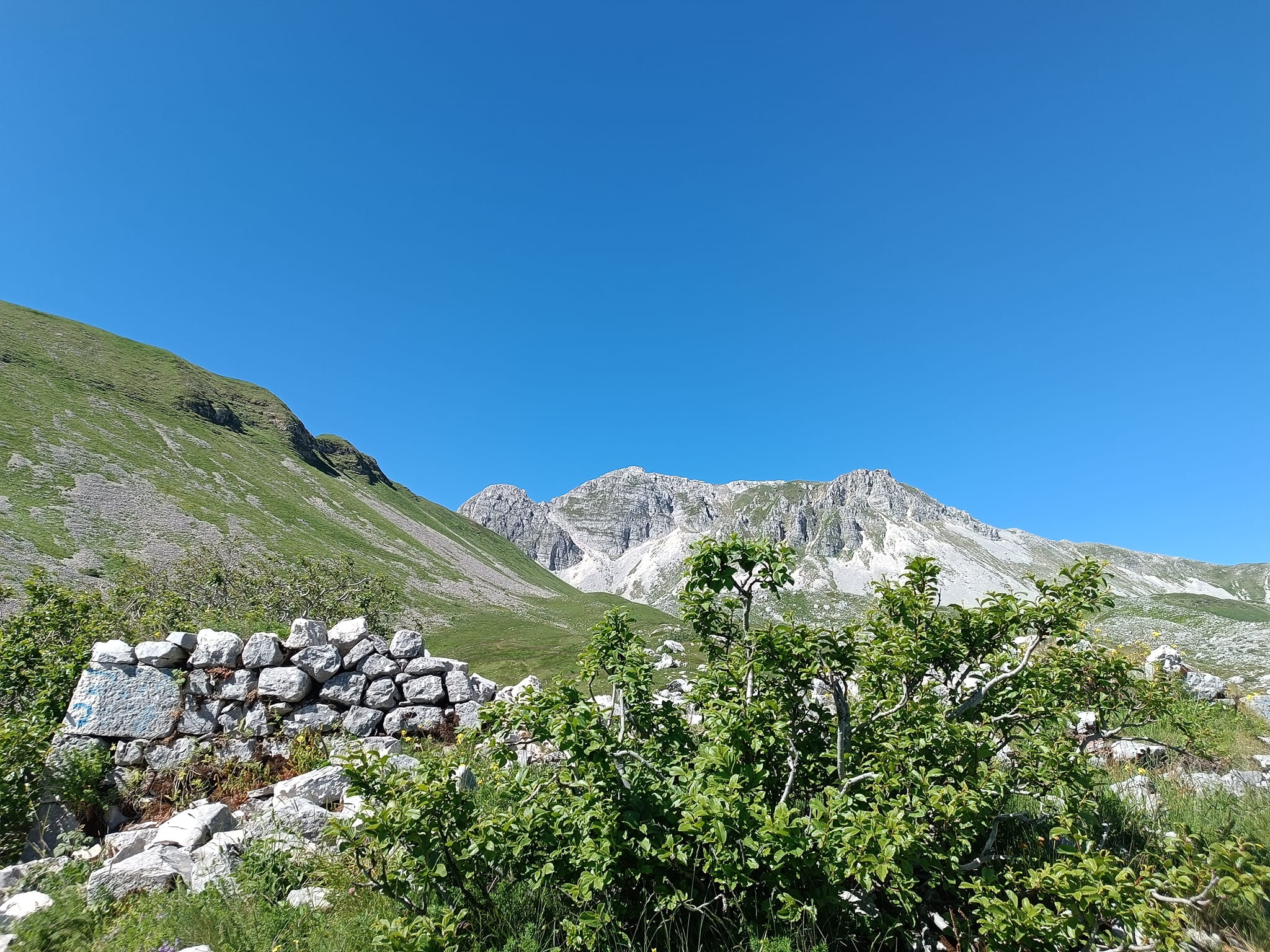 Evento Monte Meta 2242, vetta di Alfedena fra camosci e panorami Locandina Monte Meta 2242, vetta di Alfedena fra camosci e panorami - sabato 16 maggio ore 08:30 - 17:30