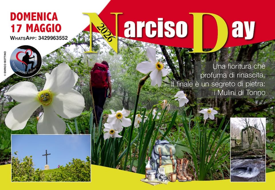 🥾 Narciso Day 2026: Monte Buio e i Mulini di Tonno Potrebbe essere un'immagine raffigurante il seguente testo "DOMENICA 17 MAGGIO WHATSAPP: 3429963552 SAM CANE nOBeHROTa SIOWISMO IGUR မ 2026 arcisoDa ay arciso Una fioritura che profuma di rinascita. finale è un segreto di pietra: i Mulini di Tonno"