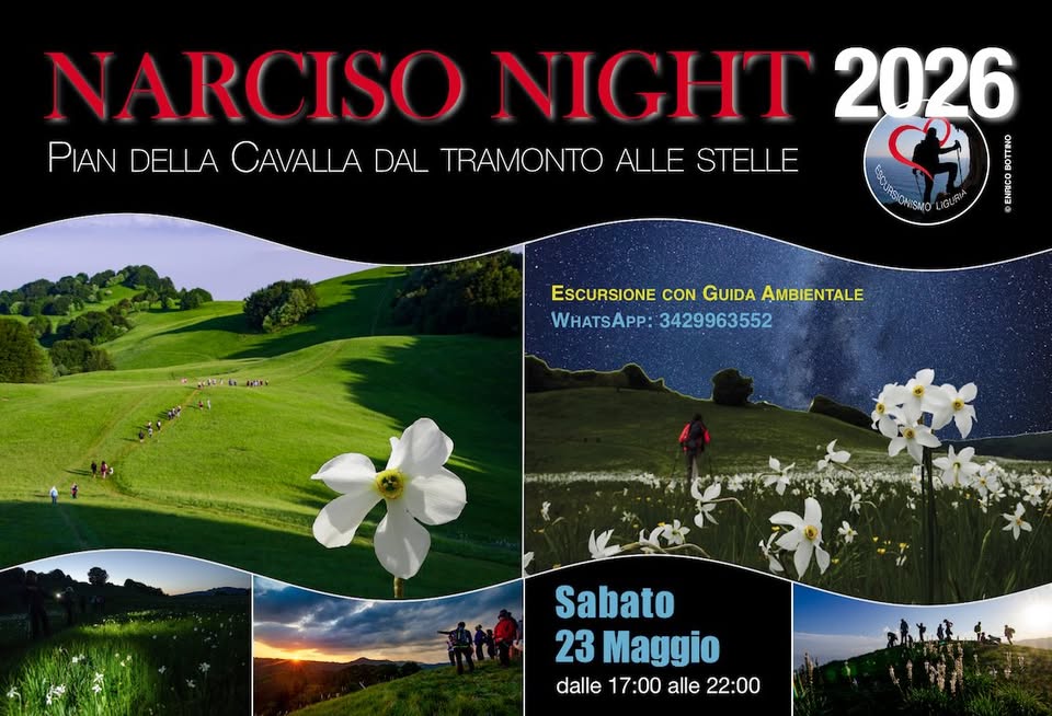 🥾 Narciso Night 2026: Pian della Cavalla dal tramonto alle stelle Potrebbe essere un'immagine raffigurante il seguente testo "NARCISO NIGHT 2026 PIAN DELLA CAVALLA DAL TRAMONTO ALLE STELLE () CUTBIOH COHISMO ና ISMO LIGO ESCURSIONE CON GUIDA AMBIENTALE WHATSAPP: 3429963552 Sabato 23 Maggio dalle 17:00 alle 22:00"