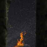 Notte nella Foresta: silenzio, fuoco e stelle Notte nella Foresta silenzio, fuoco e stelle a Corniglio (PR) il 18 luglio 2026