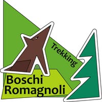 Foto di Boschi Romagnoli Immagine di Boschi Romagnoli