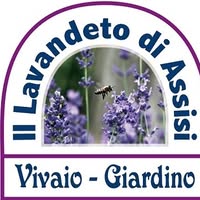 Foto di IL Lavandeto di Assisi