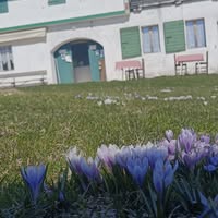 Foto di Malga Campet