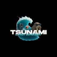 Foto di tsunami il party devastante Immagine di tsunami il party devastante