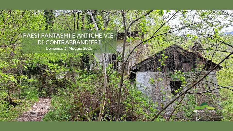 Paesi fantasmi e antiche vie di contrabbandieri Potrebbe essere un'immagine raffigurante ponte coperto e il seguente testo "PAESI FANTASMI E ANTICHE VIE DI CONTRABBANDIERI Domenica 31 Maggio 2026 Naturalli EiGuide NaturallietGuide Guide"