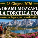 Panorami mozzafiato alla Forcella Folga Panorami mozzafiato alla Forcella Folga
